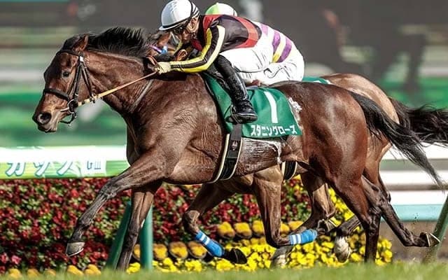 初年度産駒から14世代連続重賞勝ちの快挙！ “バラ一族”のキンカメ産駒がV