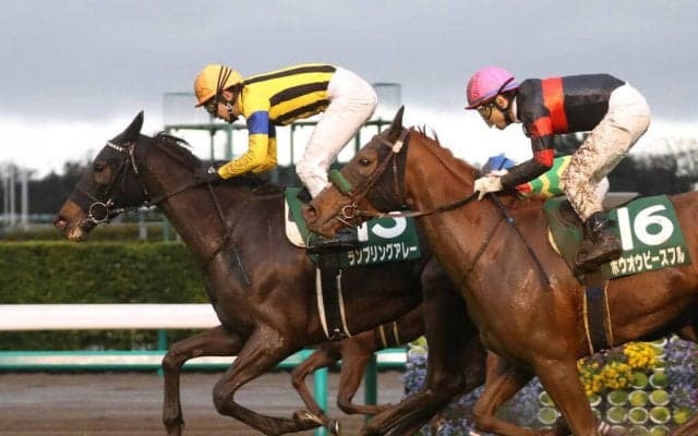 ランブリングアレーが競走馬登録抹消