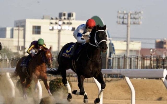 【ドバイワールドカップ】出馬表が確定