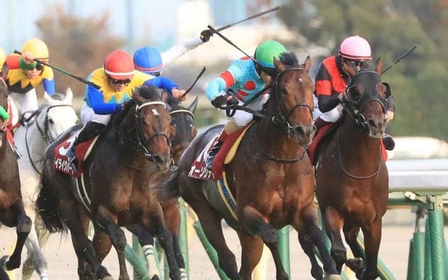 【ドバイシーマクラシック】出馬表が確定