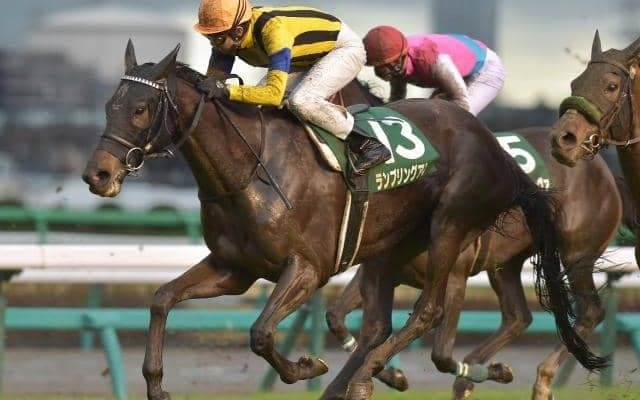 【JRA】ランブリングアレーが引退、繁殖馬に