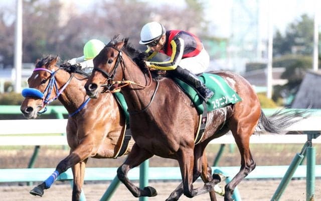 【フラワーC】スタニングローズが重賞初制覇