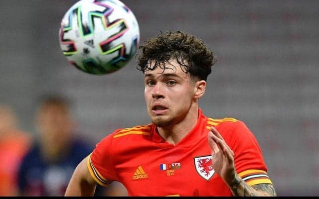 ネコ・ウィリアムズ、ファンと共に1958年以来のW杯出場誓う「僕らにとっての全て」