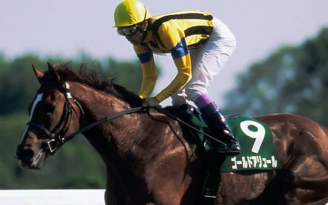 名繁殖ニキーヤが死亡 2002年ダート王ゴールドアリュールの母