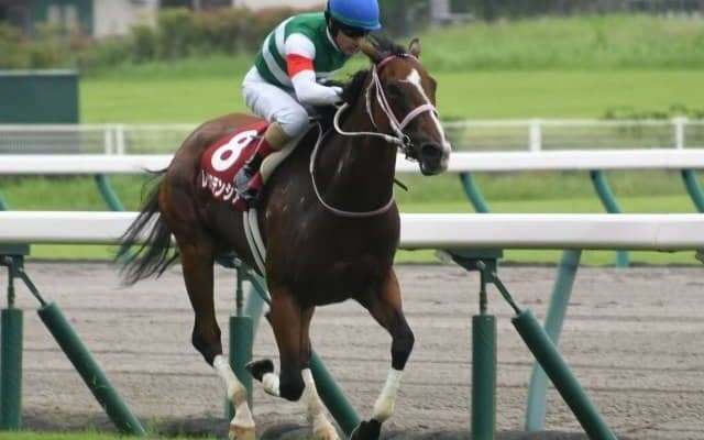 【高松宮記念枠順確定】レシステンシアは4枠7番、グレナディアガーズは大外8枠18番