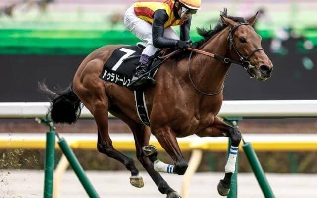 【毎日杯枠順確定】ドゥラドーレスは1枠1番、コマンドラインは2枠2番