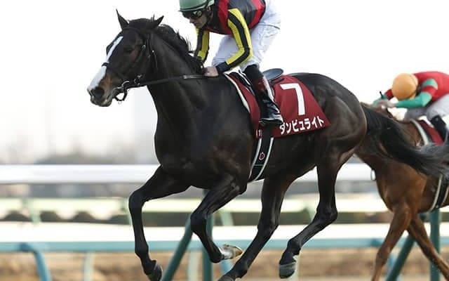 【JRA】古豪ダンビュライトが引退、乗馬に　2018年AJCC、2019年京都記念覇者