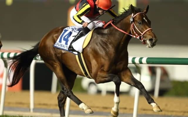 【ドバイターフ予想】強烈な血統バイアスが働くレース、5回連続でディープインパクト産駒が連対中