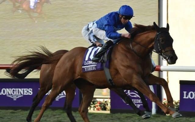 【ドバイSCオッズ】ユビアーが1番人気 日本ダービー馬シャフリヤールは2番人気