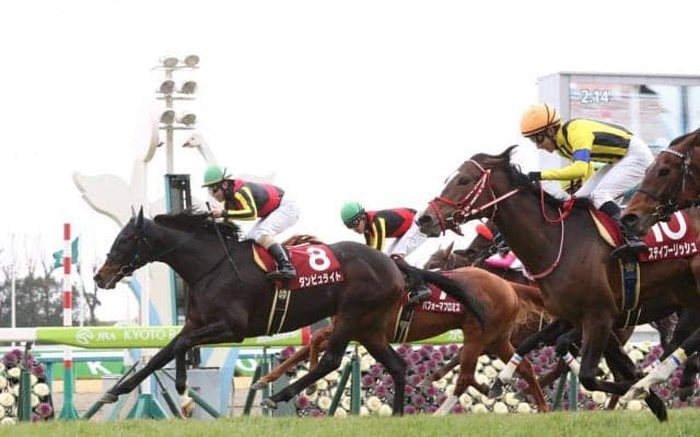 ダンビュライトが競走馬登録抹消