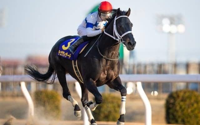 【今日の注目ポイント】夜のドバイWCデーに日本馬22頭参戦　国内では日経賞と毎日杯