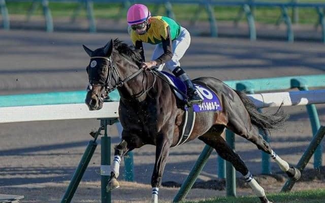 【日経賞予想】天皇賞・春へのステップレース 長く良い脚を使える馬に注目