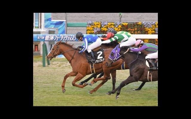 高松宮記念、現役屈指の追い込み馬に一発の可能性。マイル実績馬が優位も波乱を起こせるか