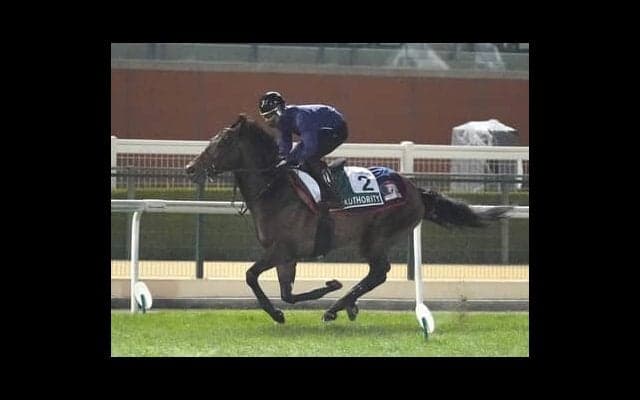 ドバイＷＣデーは日本馬の状態に不安なし。馬券が買える４レースで狙いたい穴馬もピックアップ