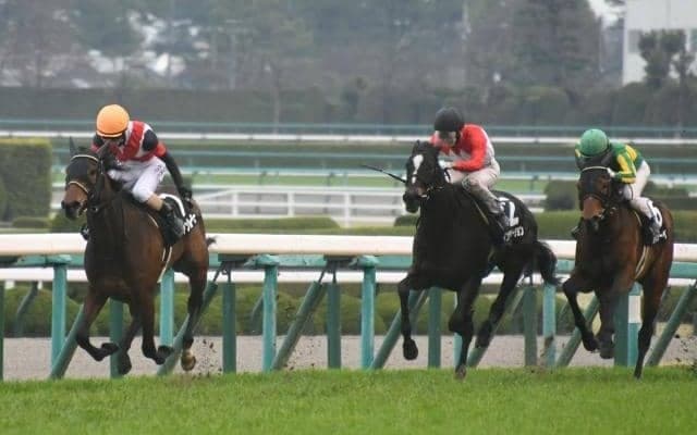 【君子蘭賞結果】ヴァンルーラーがマイペースで逃げ切り2勝目