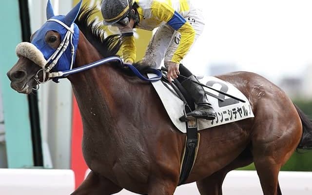 【地方競馬】プリンニシテヤルノが佐賀の東眞市厩舎に移籍