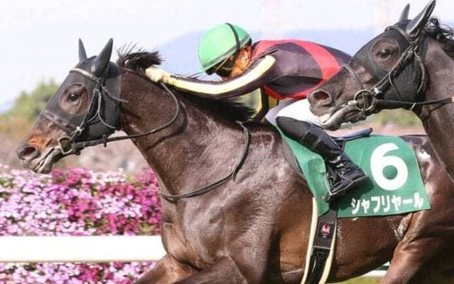 【ドバイシーマクラシック】C.デムーロ騎乗 シャフリヤールが抜け出す