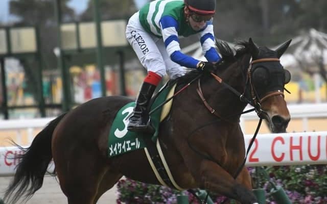 【今日の注目ポイント】春のスプリント王決定戦・高松宮記念、中山ではマーチS