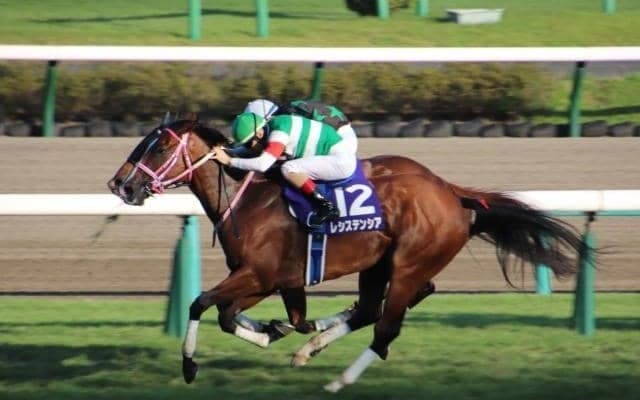 【高松宮記念予想】スピード自慢が集う春のスプリント王決定戦 栄光を手にするのはどの馬か