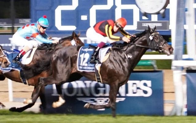 【ドバイシーマクラシック】藤原英師「本当に完璧」シャフリヤールが快勝