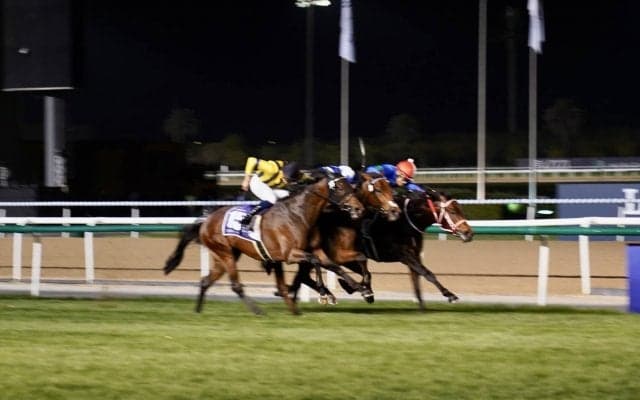 【ドバイターフ】吉田豊「本当に嬉しいです」パンサラッサが1着同着