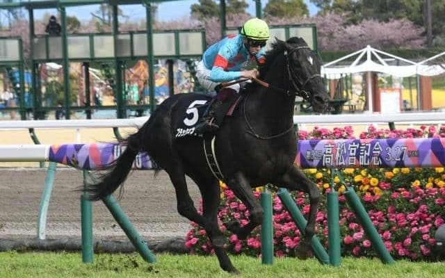 【大寒桜賞結果】ブラックブロッサムが8馬身差突き放してデビュー2連勝