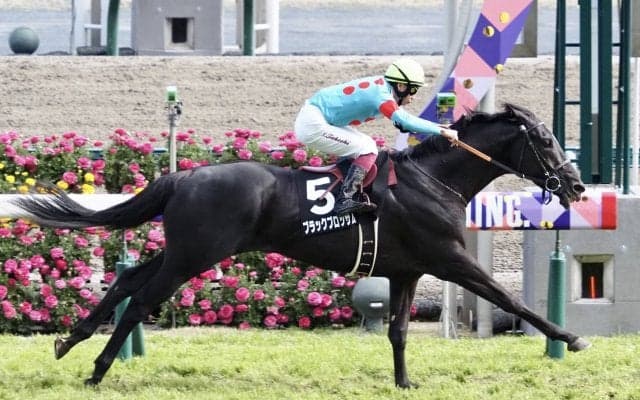 【大寒桜賞】ブラックブロッサムが圧勝！デビュー2連勝