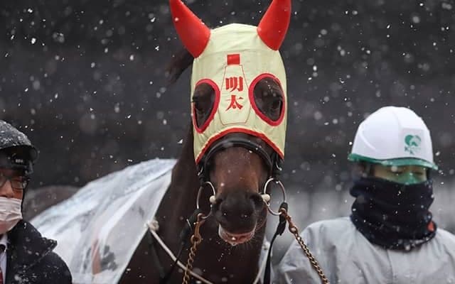 【大井・京浜盃】プライルードは7枠8番、メンタイマヨは8枠10番/地方競馬枠順