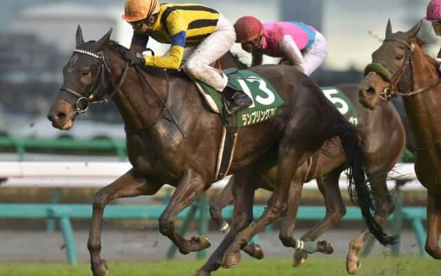 【先週のJRA抹消馬】昨年のVM2着ランブリングアレー、10歳馬オールマンリバーなど