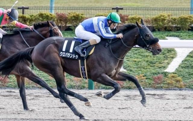 【コーラルSハンデ確定】クロパラントゥは54.0kg、スリーグランドは56.0kg