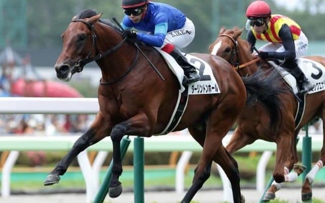 【ダービー卿CT展望】好走条件に合うあの馬に期待したい