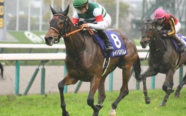 【大阪杯】いざ連覇へレイパパレ 牝系血統に眠る日本競馬の歴史 