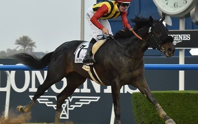 ドバイ遠征の日本馬21頭が帰国、クラウンプライドはアメリカ遠征へ