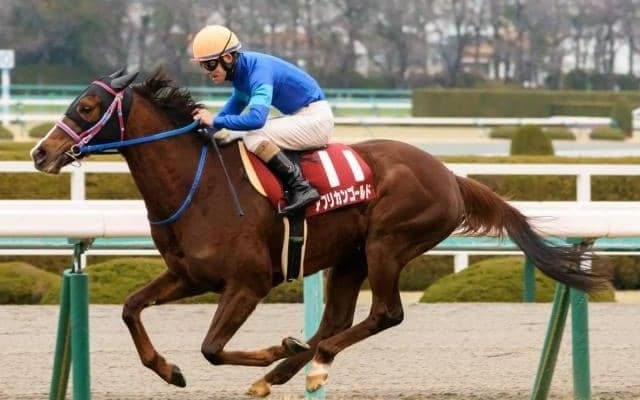 【大阪杯展望】内回り適性が求められるレース、あの馬の大駆けを期待したい