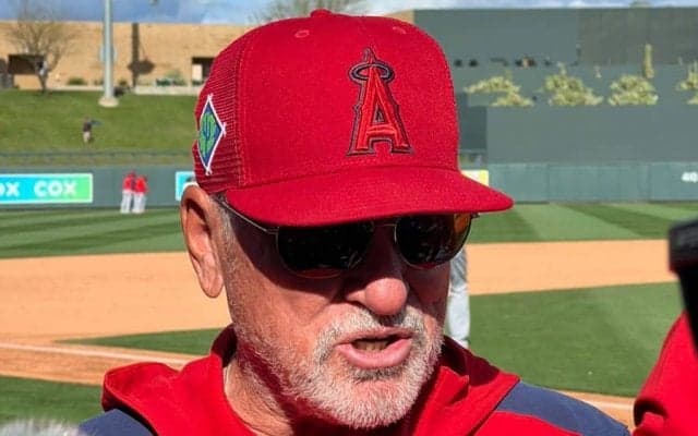 【MLB】大谷翔平が技あり2号　指揮官は“つなぎの打撃”も称賛「グレートだ」