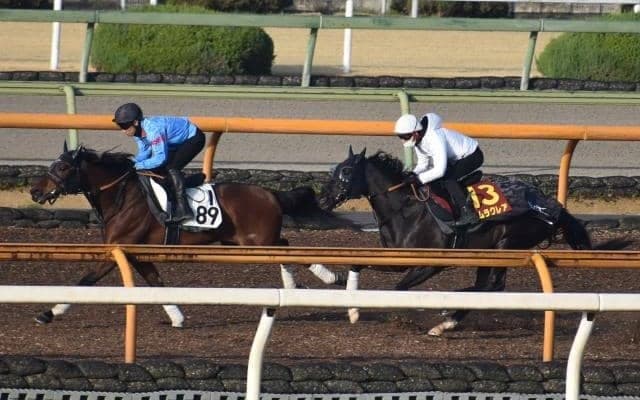 ナムラクレア、桜花賞1週前追い切り速報/栗東トレセンニュース