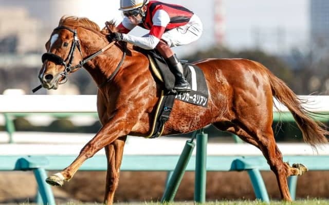 【次走】前走で戦線復帰のウインカーネリアンはマイラーズカップへ