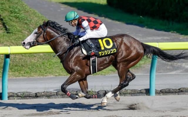 【次走】マーチSで2着のケンシンコウはかしわ記念を視野に