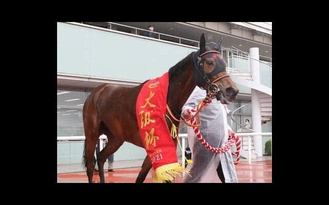 大阪杯はディープインパクト産駒が中心。苦しむ昨年王者の復活をあらゆるデータが後押し