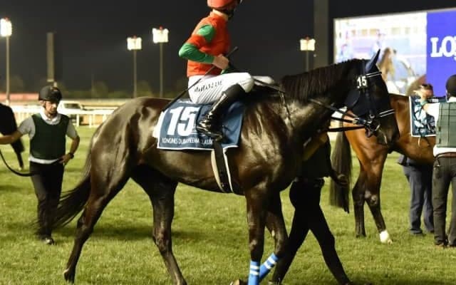 【次走】前年オークス馬ユーバーレーベンは札幌記念へ ドバイシーマクラシックで5着