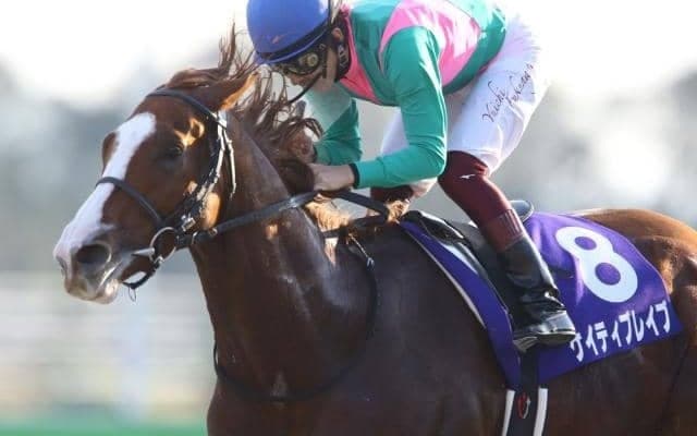 【JRA】ケイティブレイブが引退　優駿SSで種牡馬に