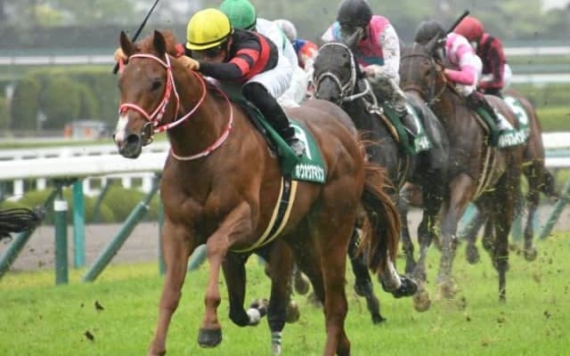 【次走】ホウオウアマゾンはマイラーズカップへ 昨年のアーリントンC覇者