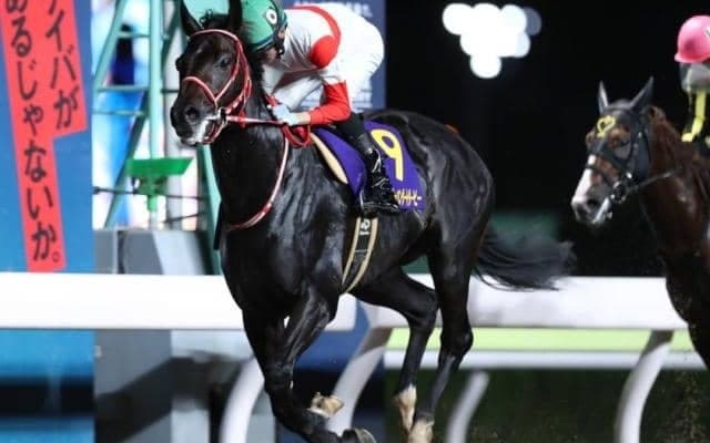 【次走】ダノンファラオは平安Sへ　2020年ジャパンダートダービー覇者