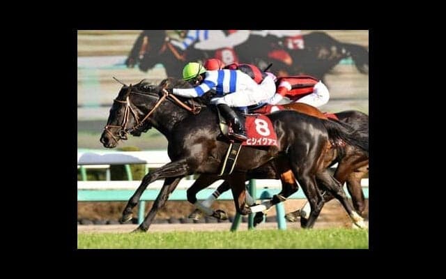 波乱続出の大阪杯は、馬券圏内に入る「３つの条件」をクリアした穴馬２頭で勝負
