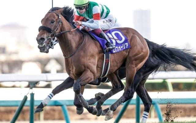 【大阪杯枠順確定】エフフォーリアは3枠6番、ジャックドールは2枠4番