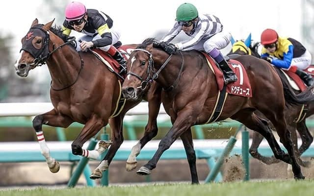 【皐月賞想定】ルメール騎手はイクイノックス、武豊騎手はドウデュース、岩田康誠騎手はデシエルトに騎乗予定