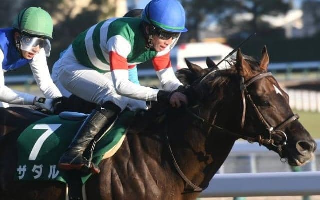 【今日の注目ポイント】中山でGIII・ダービー卿CT、阪神ではリステッド・コーラルS