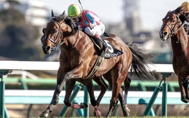 【ダービー卿CT予想】過去10年で4・5番人気馬が6勝、中波乱傾向の一戦