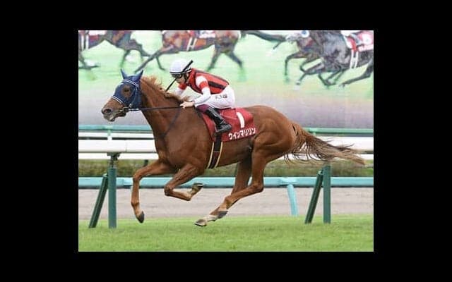 大阪杯も展開次第で「大荒れ」の予感。快速ジャックドールを巡る争いの陰で浮上する伏兵２頭