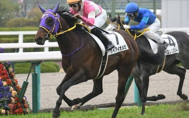 【次走】ケイアイオメガはアーリントンCか橘Sへ　現在無傷2連勝中